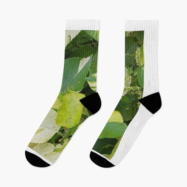 Item preview, green mix plant in the garden  designed and sold by USCOLstore.