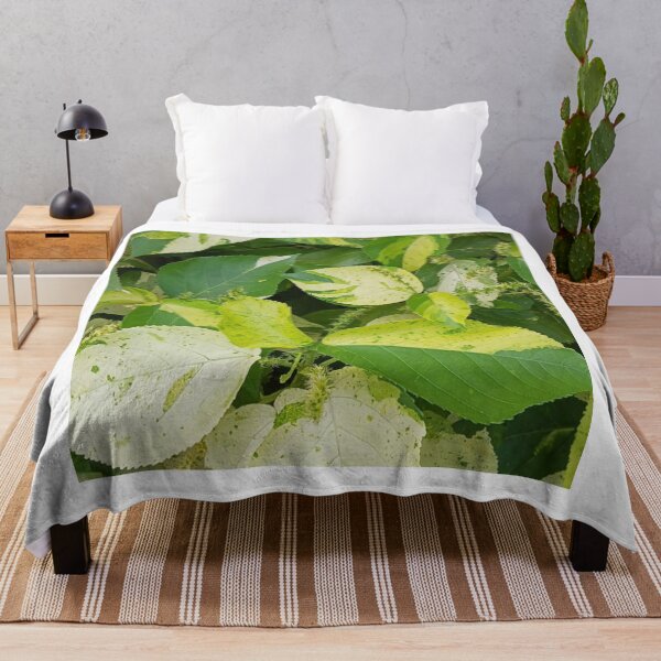 Item preview, green mix plant in the garden  designed and sold by USCOLstore.