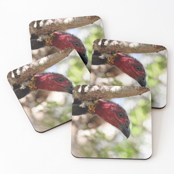 Item preview, Australian Brush Turkey watching me designed and sold by Mark Grimsley.