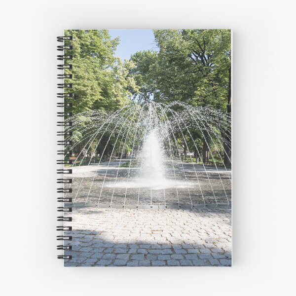 Item preview, Liquid Cupola Fountain in an Elegant Public Garden designed and sold by Georgia Mizuleva.