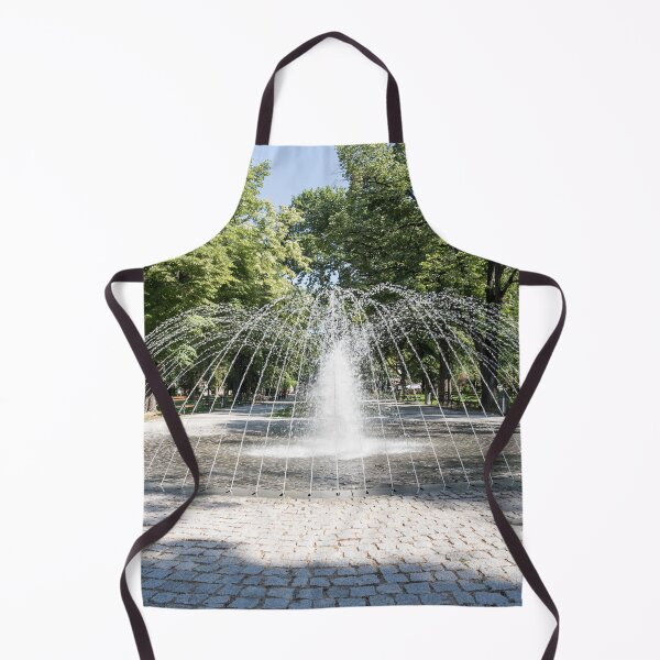 Item preview, Liquid Cupola Fountain in an Elegant Public Garden designed and sold by Georgia Mizuleva.