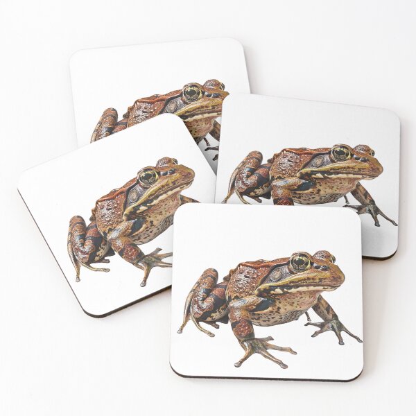 Item preview, Photo of Brown Spotted Frog For Frog Lovers designed and sold by HollywoodInked.