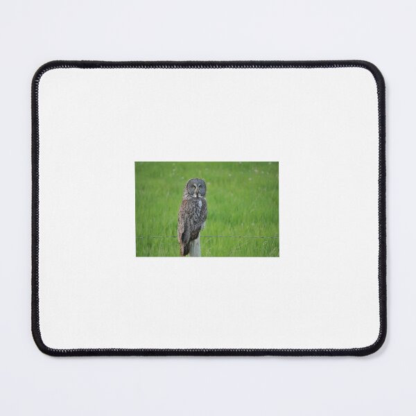 Item preview, Owl on a fence post  designed and sold by amymayb.