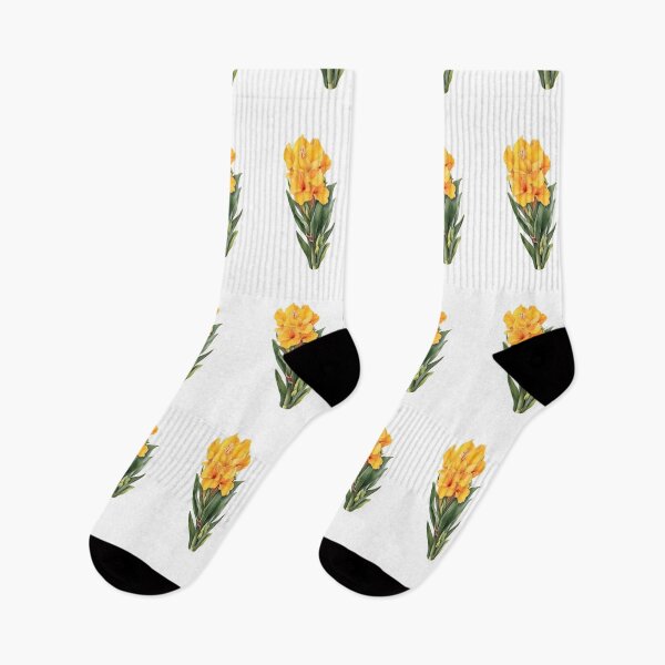 Item preview, Costus spectabilis (Yellow Trumpet) designed and sold by HOMETOWN86.