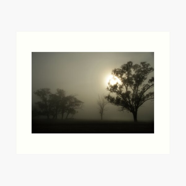 Artikelvorschau, Morning Mist entworfen und verkauft von Norman Repacholi | Keystone Photography.
