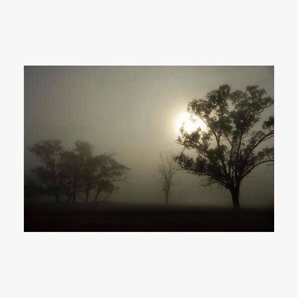 Item preview, Morning Mist designed and sold by Norman Repacholi | Keystone Photography.