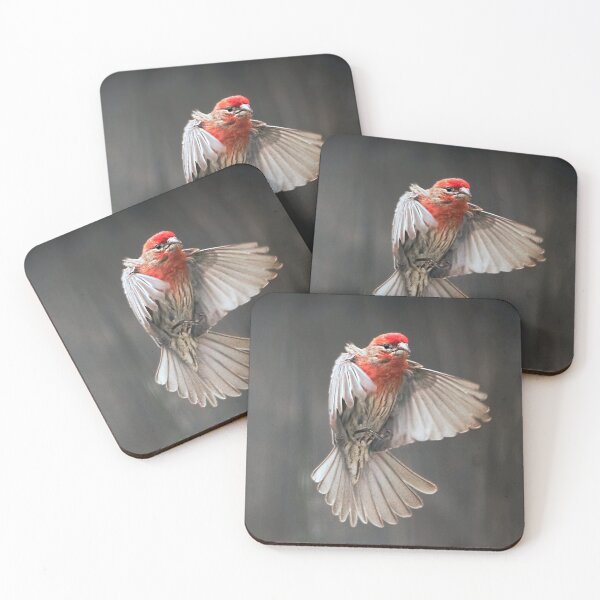 Item preview, House Finch in Flight designed and sold by CarolM.