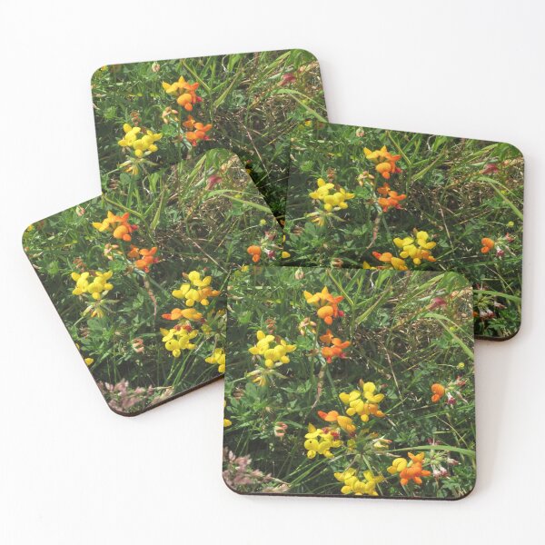 Item preview, Common Birdsfoot Trefoil designed and sold by wiggyofipswich.