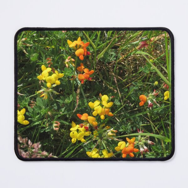 Item preview, Common Birdsfoot Trefoil designed and sold by wiggyofipswich.
