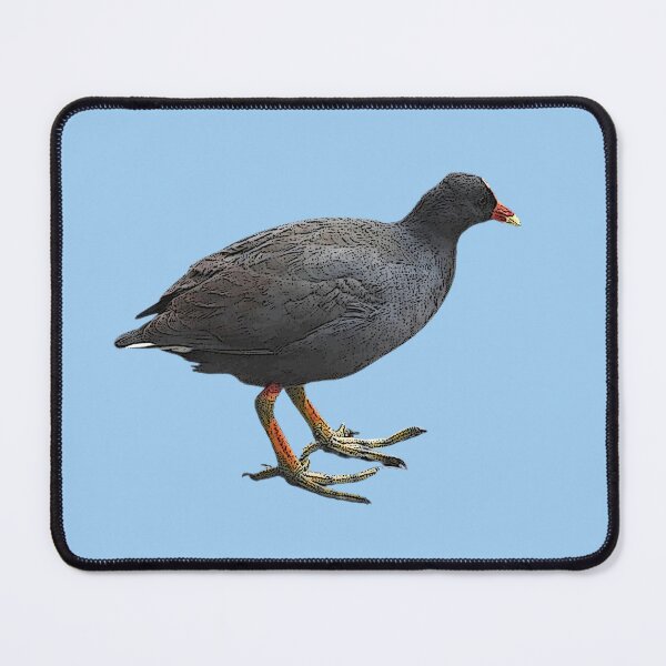Item preview, Dusky Moorhen Color Design  designed and sold by designsasstultd.