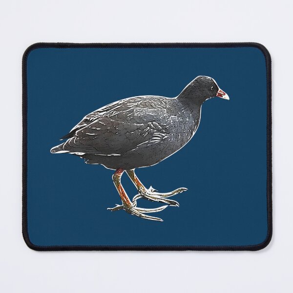Item preview, Dusky Moorhen White Alternate Design  designed and sold by designsasstultd.