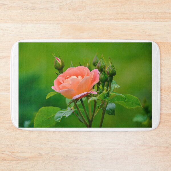 Item preview, rose designed and sold by Erwin G. Kotzab.