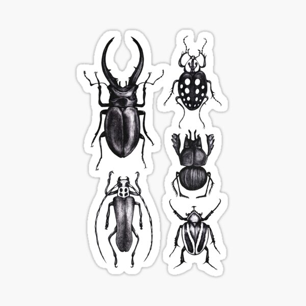 Item preview, Beetle pattern - Insect collection designed and sold by MonoMano.