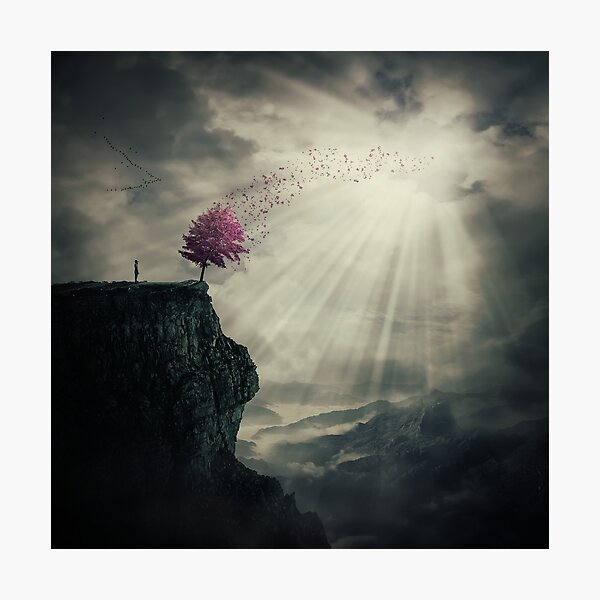 the Tree of Life Photographic Print