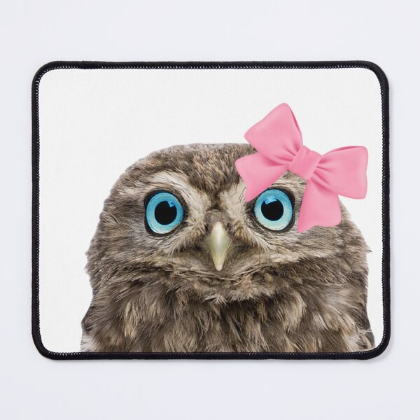 Item preview, owl wearing pink bow designed and sold by SillyLittleSnek.