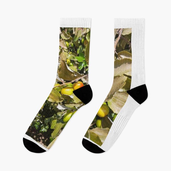 Item preview, dumps tree branch designed and sold by USCOLstore.
