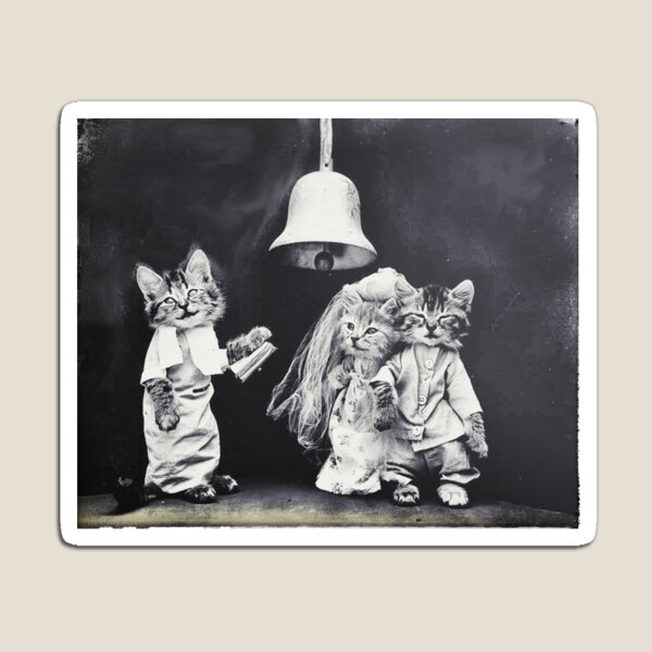 Aperçu de l'œuvre  Deux chatons mignons se marient créée et vendue par stevepaint.