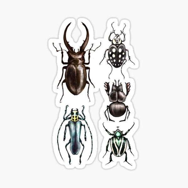 Item preview, Colored beetle pattern - Insect collection designed and sold by MonoMano.