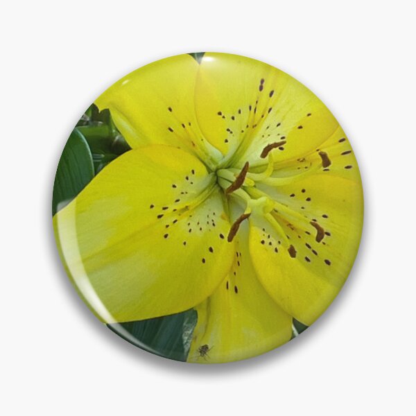 Item preview, Yellow lily  designed and sold by Gizmo-cat.