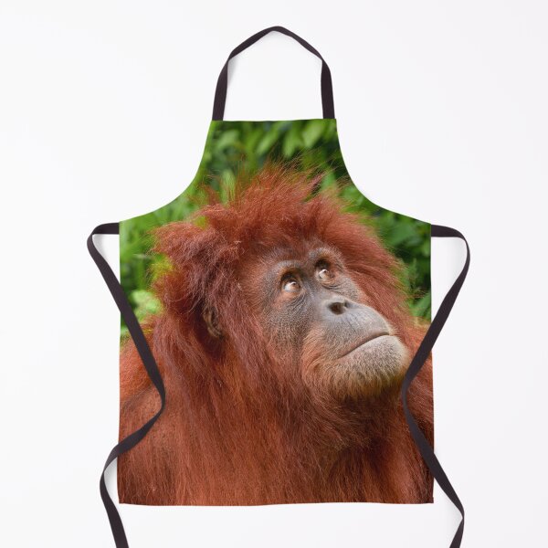 Item preview, Orangutan's Thoughtful Gaze designed and sold by rawshutterbug.