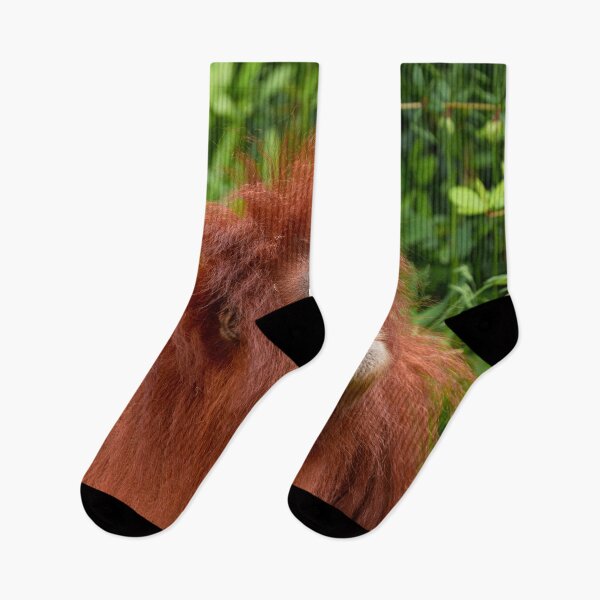 Item preview, Orangutan's Thoughtful Gaze designed and sold by rawshutterbug.