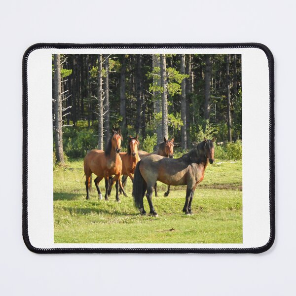 Item preview, Wild horses in Alberta, Canada designed and sold by amymayb.