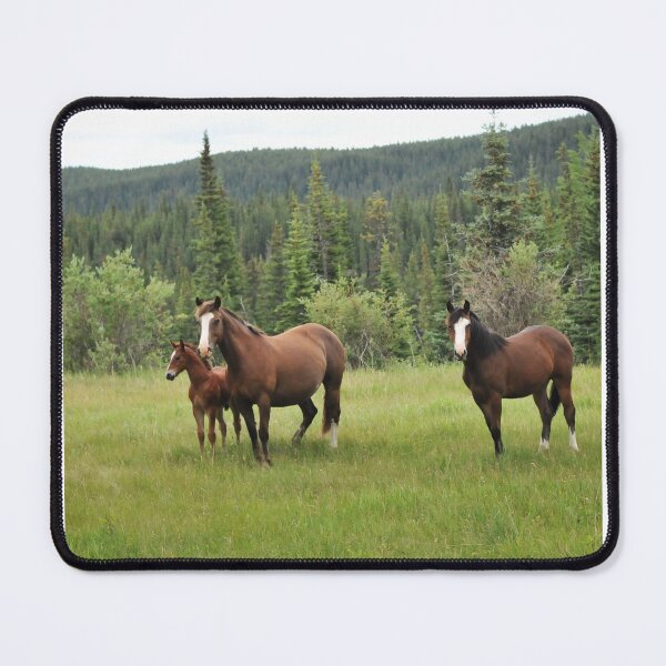 Item preview, Wild horses in Alberta, Canada designed and sold by amymayb.