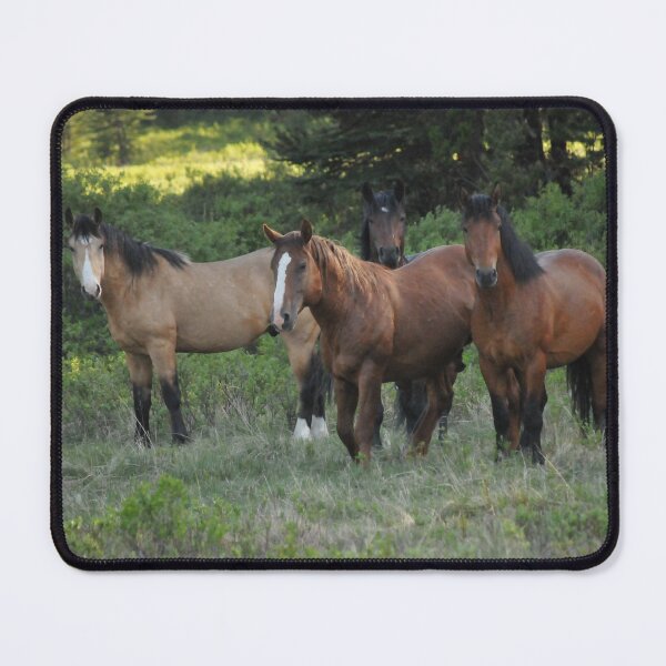 Item preview, Wild horses in Alberta, Canada designed and sold by amymayb.