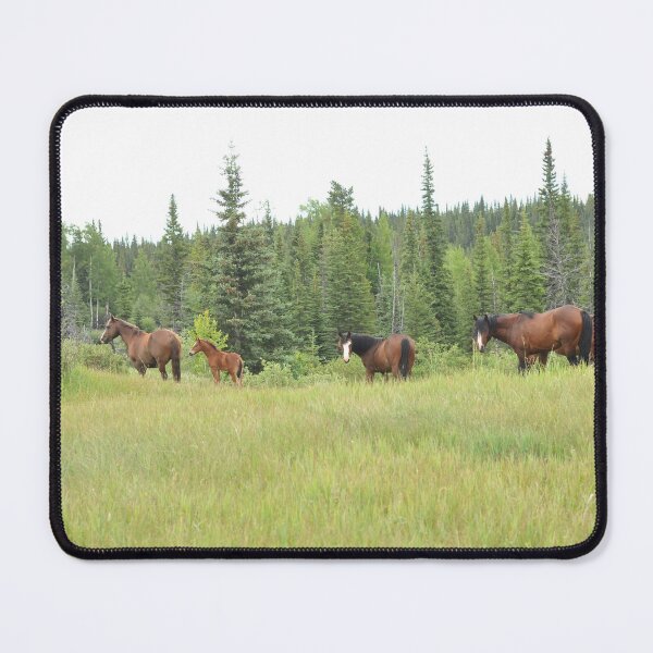 Item preview, Wild horses in Alberta, Canada designed and sold by amymayb.