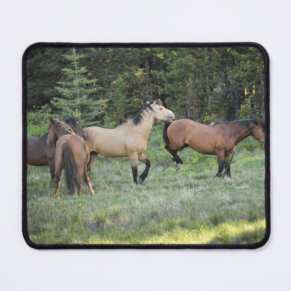 Item preview, Wild horses in Alberta, Canada designed and sold by amymayb.