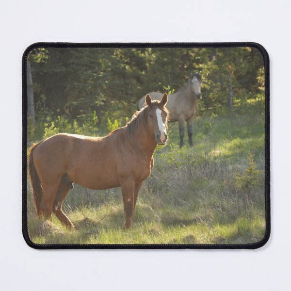 Item preview, Wild horses in Alberta, Canada designed and sold by amymayb.