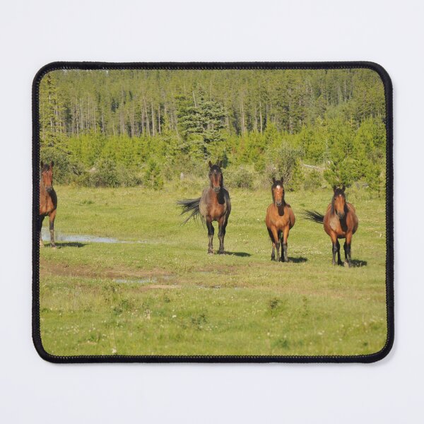 Item preview, Wild horses in Alberta, Canada designed and sold by amymayb.