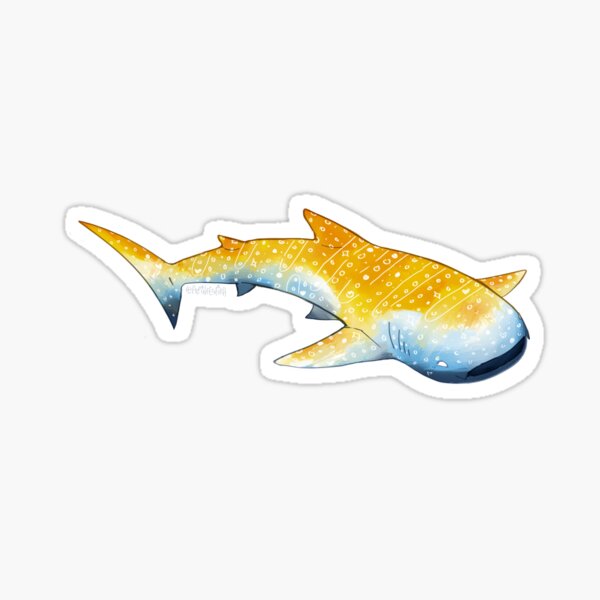 Item preview, Aroace Whaleshark designed and sold by Whaleshorks.