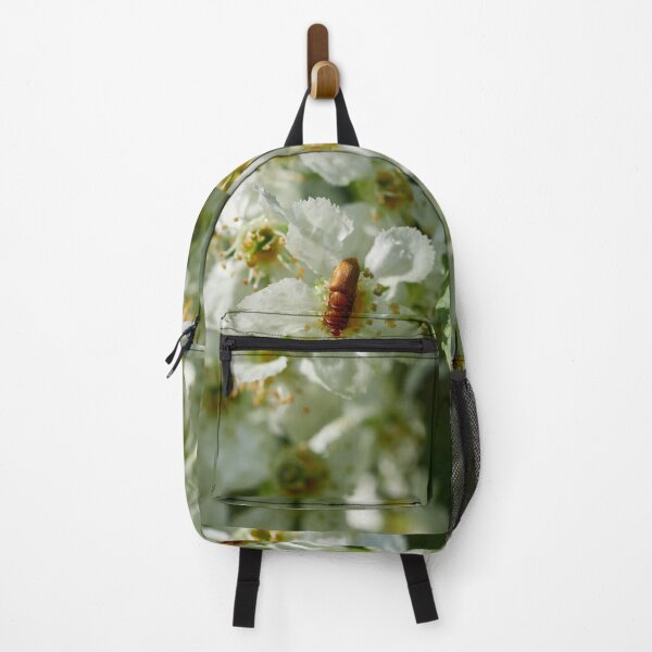 Item preview, More more more. Minute brown scavenger beetles on bird cherry designed and sold by Jouko Lehto Photography.