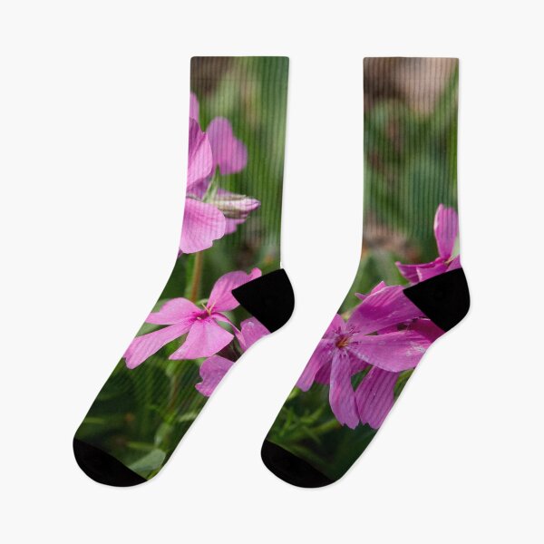Item preview, Spring colors. Prairie phlox designed and sold by Jouko Lehto Photography.