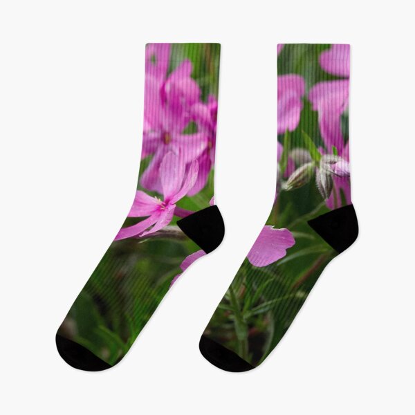 Item preview, Vertical pink. Prairie phlox designed and sold by Jouko Lehto Photography.