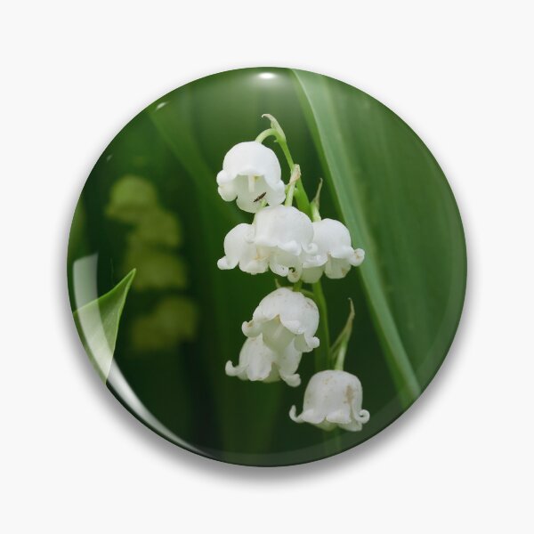 Item preview, A shy visitor. Lily of the valley designed and sold by Jouko Lehto Photography.
