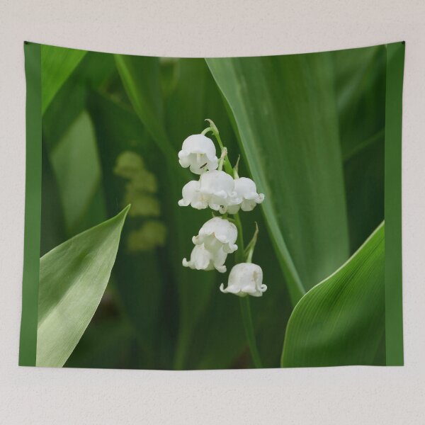 Item preview, A shy visitor. Lily of the valley designed and sold by Jouko Lehto Photography.
