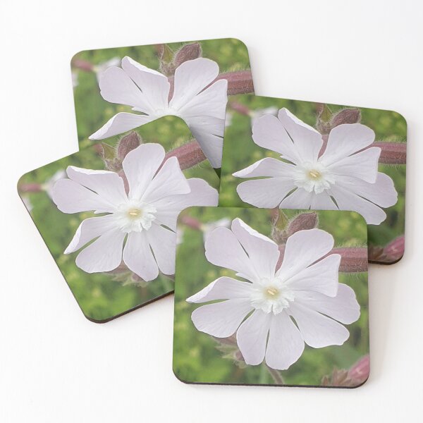 Item preview, Pink Campion designed and sold by amanda150771.