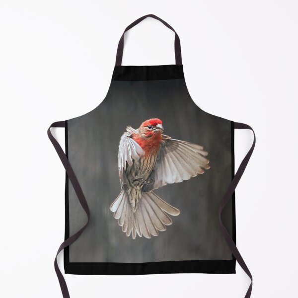 Item preview, House Finch in Flight designed and sold by CarolM.