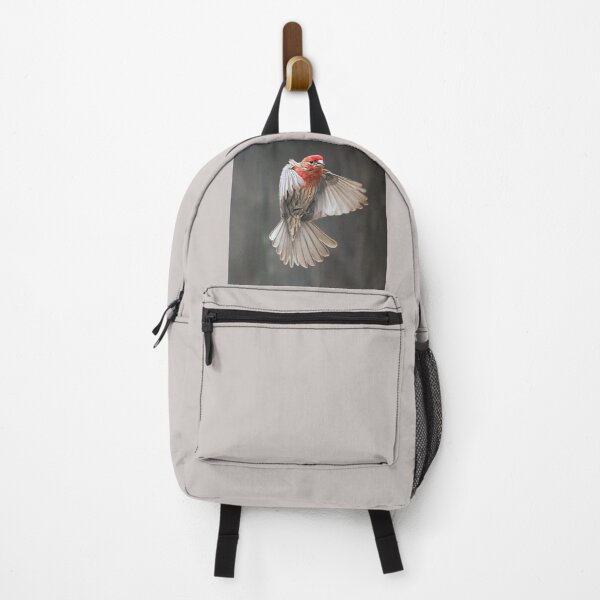 Item preview, House Finch in Flight designed and sold by CarolM.