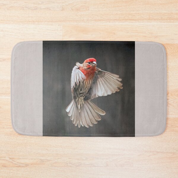 Item preview, House Finch in Flight designed and sold by CarolM.