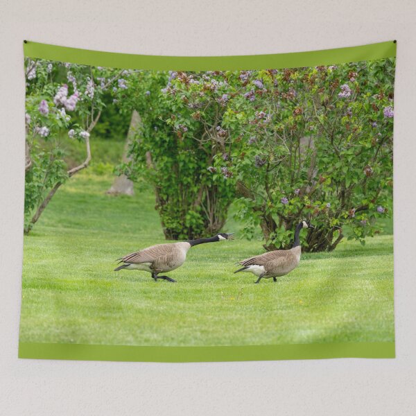 Item preview, Wild Goose Chase designed and sold by SafariByMarisa.