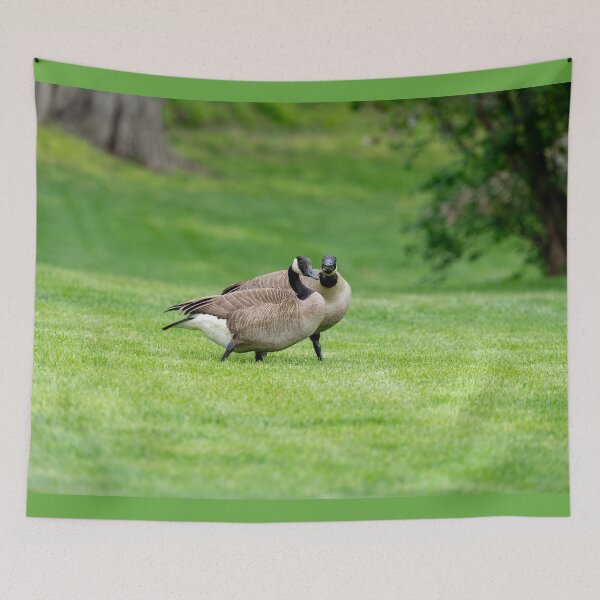 Item preview, Two Canada Geese in the Grass designed and sold by SafariByMarisa.