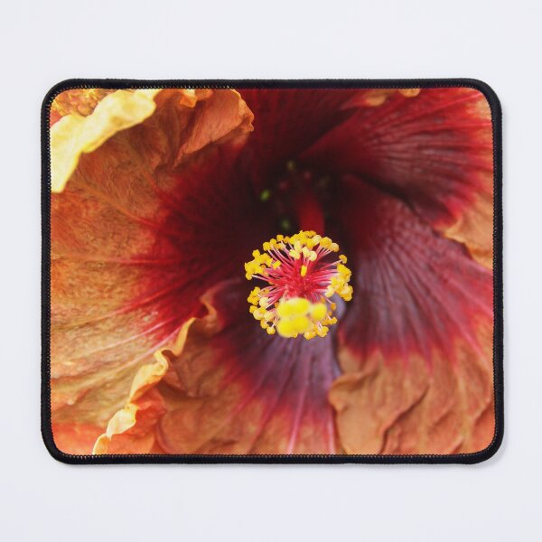 Item preview, Full Bloom designed and sold by heatherfriedman.