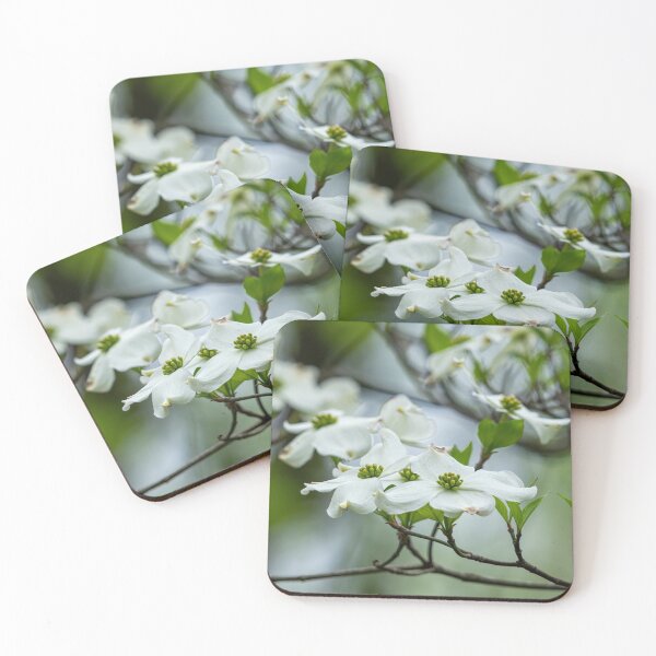 Item preview, White Dogwood Flowers Blooming designed and sold by SafariByMarisa.