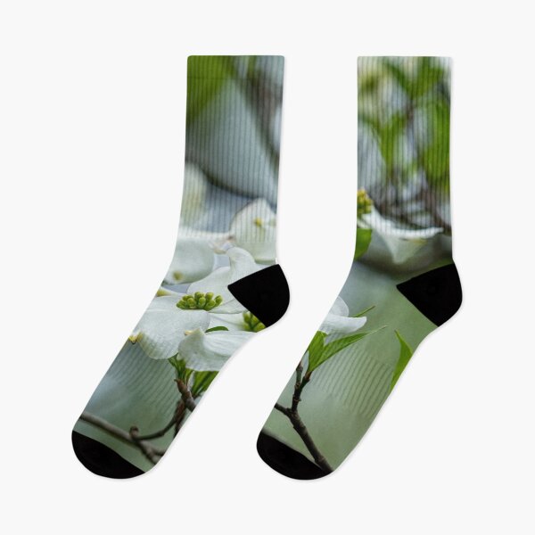 Item preview, White Dogwood Flowers Blooming designed and sold by SafariByMarisa.