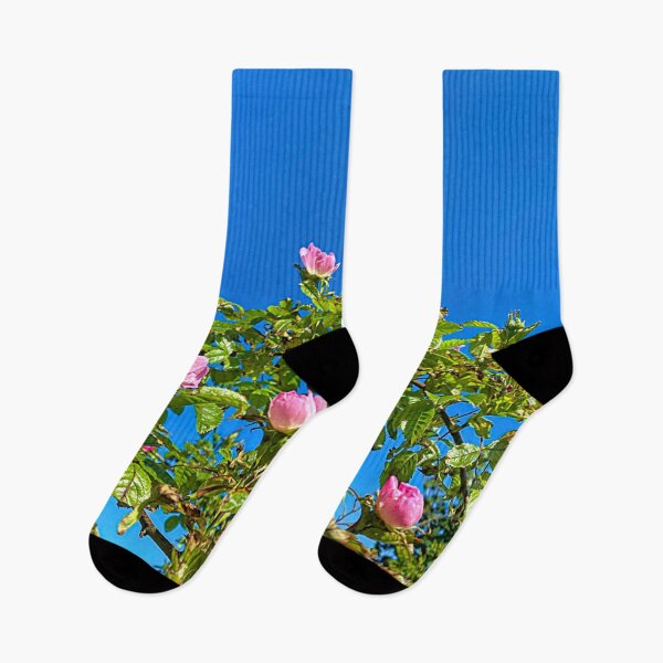 Item preview, Pink roses under a clear blue sky designed and sold by Violaman.