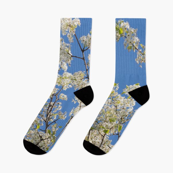 Item preview, Cherry Blossoms & Blue Sky designed and sold by SafariByMarisa.