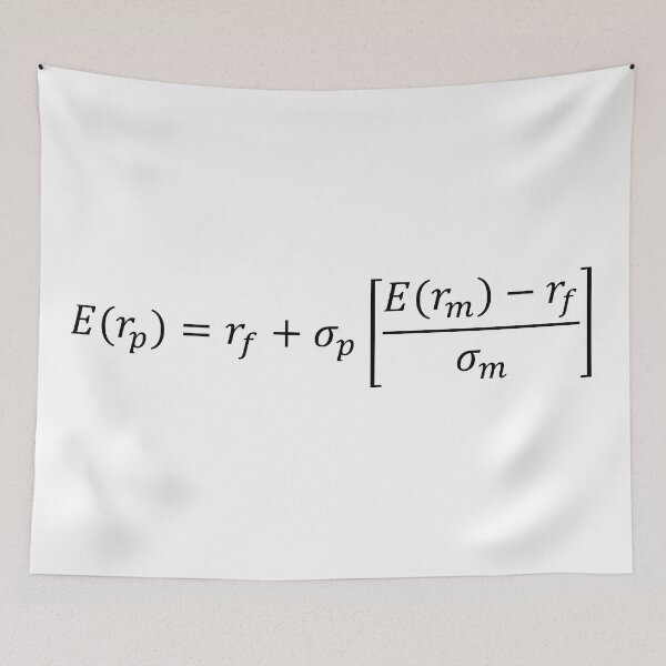 Item preview, CML (Capital Market Line) equation designed and sold by moneyneedly.